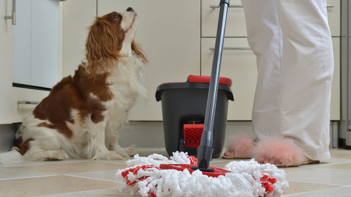 Eco-Friendly Cleaning: How Regular Cleaning Can Be Safe for Kids and Pets